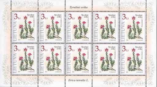 Mini Sheet, Crossleaf Heath (Erica tetralix L.), Lithuania,  , Plants (Flora)