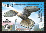 Kestrel