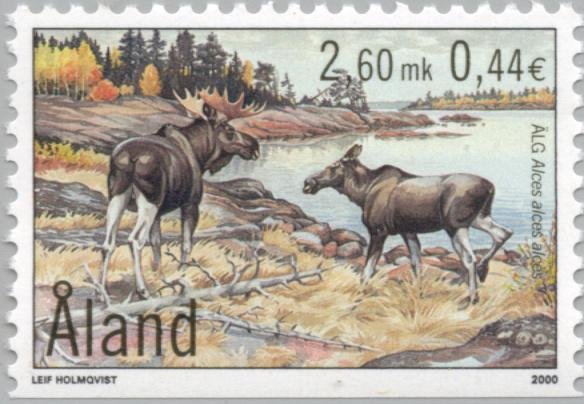 Eurasian elk (Alces alces)
