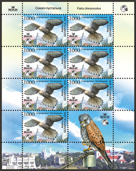 Kestrel