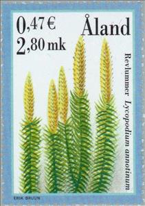 Stamp, Stiff clubmoss (Lycopodium annotinum), Åland Islands,  , Plants (Flora)