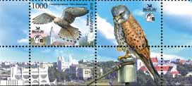 Kestrel