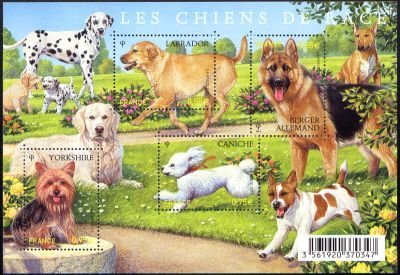 Labrador Retriever, German Shepherd, Poodle, Yorkshire Terri