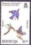 Stamp, Eastern Bluebird (Sialia sialis), Bermuda,  , Birds