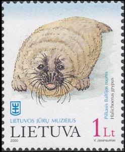 Stamp, Grey Seal (Halichoerus grypus), Lithuania,  , Sea (Marine) Mammals, Seals (Animals)