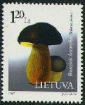 Boletus (Boletus aerens)