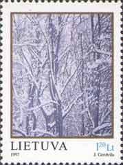 Snow-covered trees