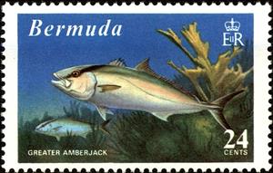 Stamp, Greater Amberjack (Seriola dumerili), Bermuda,  , Fishery