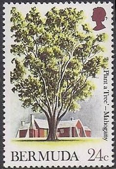 Mahogany