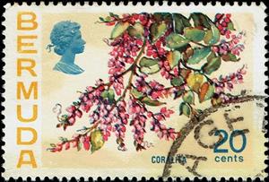 Stamp, Coralita, Bermuda,  , Flowers