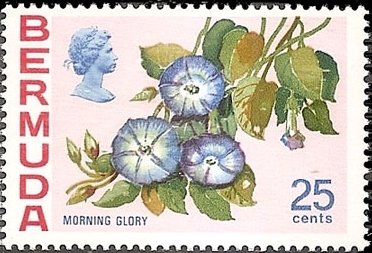 Stamp, Morning Glory, Bermuda,  , Flowers