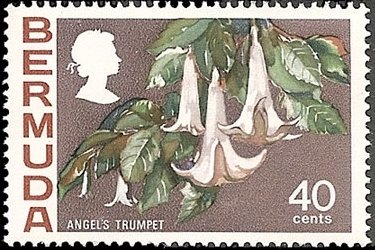 Stamp, Angel's trumpet, Bermuda,  , Flowers