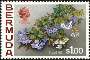 Stamp, Plumbago, Bermuda,  , Flowers