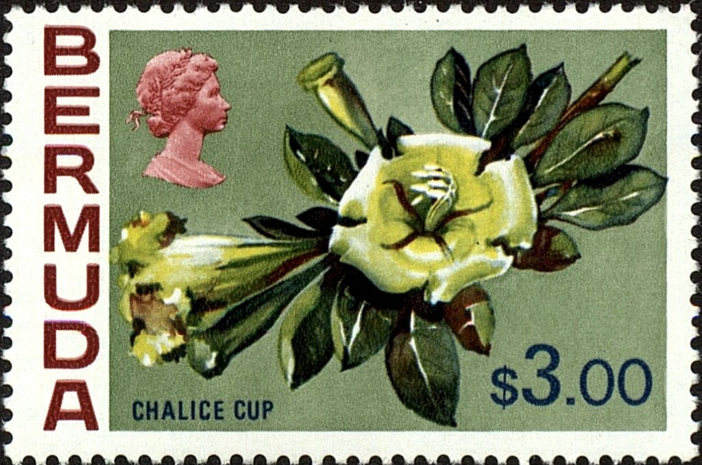 Chalice cup