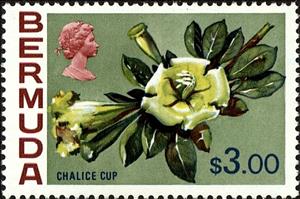 Stamp, Chalice cup, Bermuda,  , Flowers