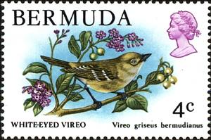 Stamp, Bermuda White-eyed Vireo (Vireo griseus bermudianus), Bermuda,  , Birds, Animals (Fauna)
