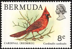 Stamp, Northern Cardinal (Cardinalis cardinalis), Bermuda,  , Birds, Animals (Fauna)