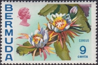 Stamp, Cereus, Bermuda,  , Flowers