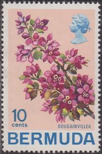 Stamp, Bougainvillaea, Bermuda,  , Flowers