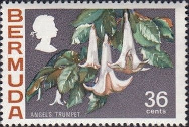 Stamp, Angel's trumpet, Bermuda,  , Flowers