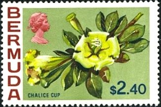 Stamp, Chalice cup, Bermuda,  , Flowers