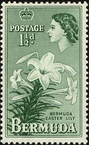 Stamp, Easter Lillies (Lilium longiflorum), Bermuda,  , Heads of State, Flowers, Queens, Plants (Flora)