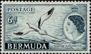 Stamp, White-tailed Tropicbird (Phaethon lepturus), Bermuda,  , Heads of State, Birds, Queens, Animals (Fauna)