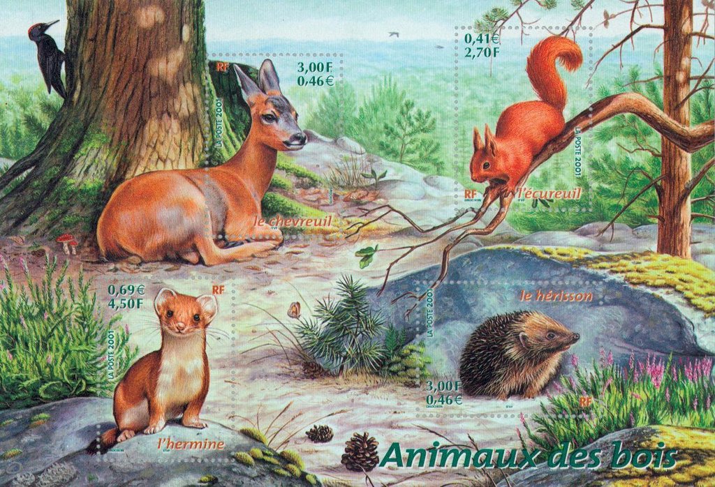 Roe Deer, Red Squirrel, Stoat, European Hedgehog