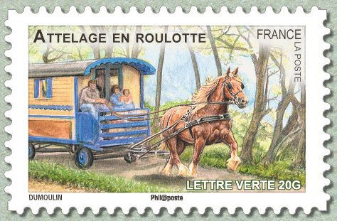 Cart Horse (Equus ferus caballus)