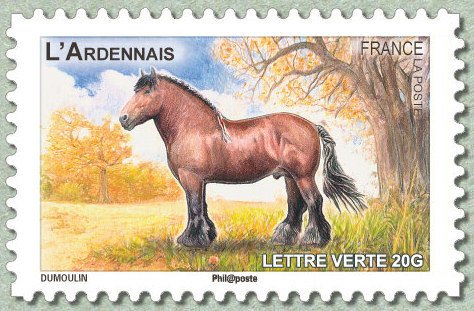Ardennais (Equus ferus caballus)