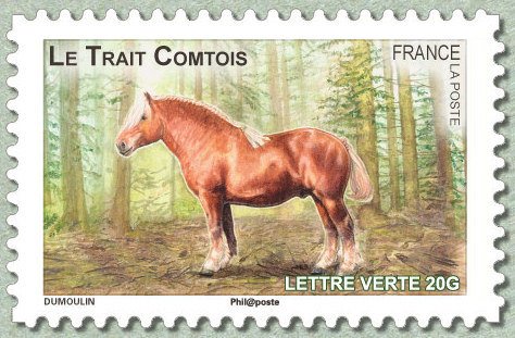 Trait Comtois (Equus ferus caballus)