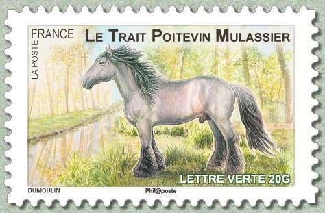 Poitevin (Equus ferus caballus)