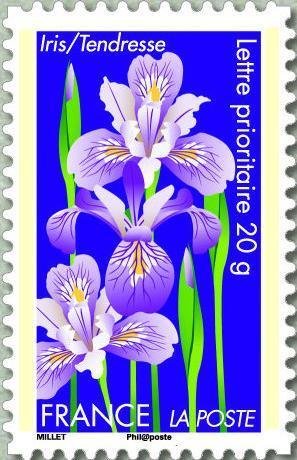 Iris = Tendresse