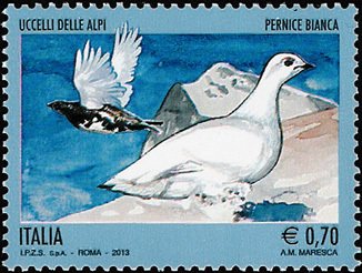 Rock Ptarmigan (Lagopus mutus)