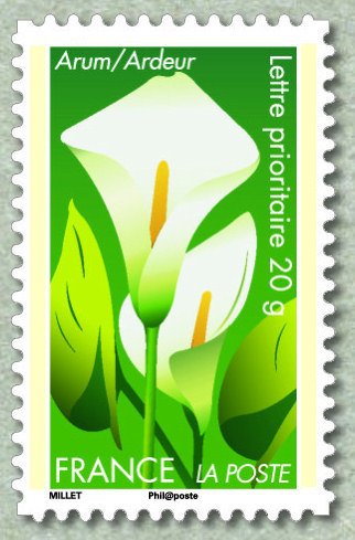 Arum = Ardeur