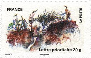 Stamp, European Hedgehog (Erinaceus europaeus), France,  , Hedgehogs, Animals (Fauna)