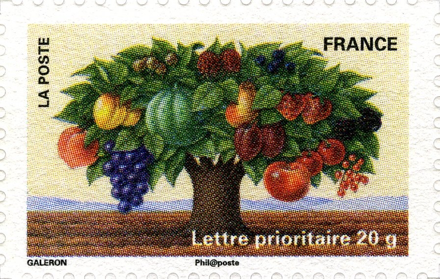 Tree with different fruits