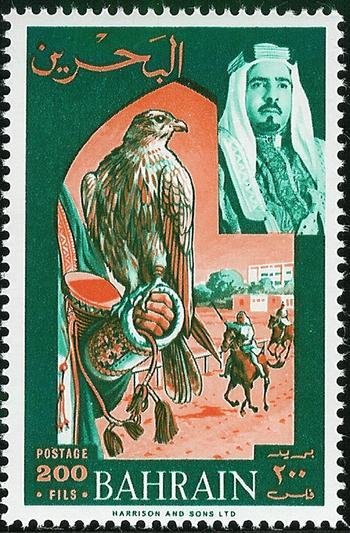 Rider and Gyrfalcon (Falco rusticolus)