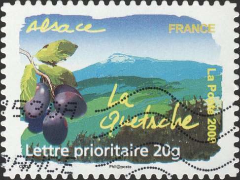 La Flore du Nord - La Quetsche