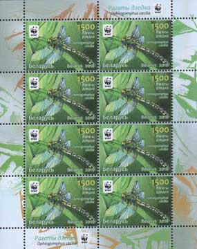 Green snaketail