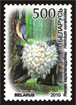 Hericium coralloides