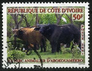 Stamp, African Forest Buffalo (Syncerus caffer nanus), Ivory Coast,  , Animals (Fauna)