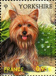 Stamp, Yorkshire-Terrier (Canis lupus familiaris), France,  , Animals (Fauna)