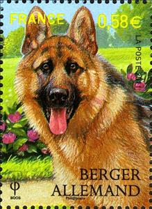 Stamp, German Shepherd (Canis lupus familiaris), France,  , Animals (Fauna)