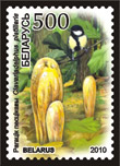 Clavariadelphus pistillaris