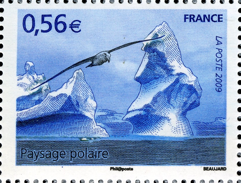Polar Landscape
