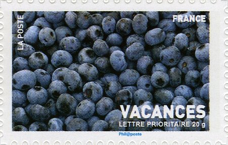 Blueberry