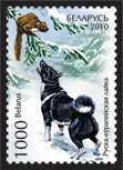 Russian European laika