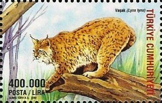 Stamp, Eurasian Lynx (Lynx lynx), Turkey,  , Lynx