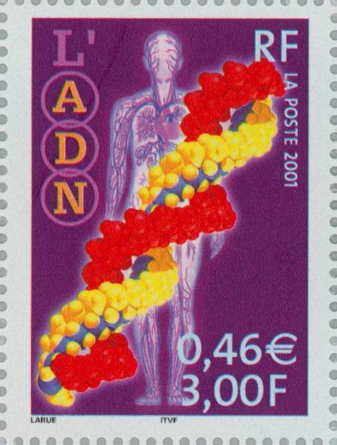 Science:  DNA